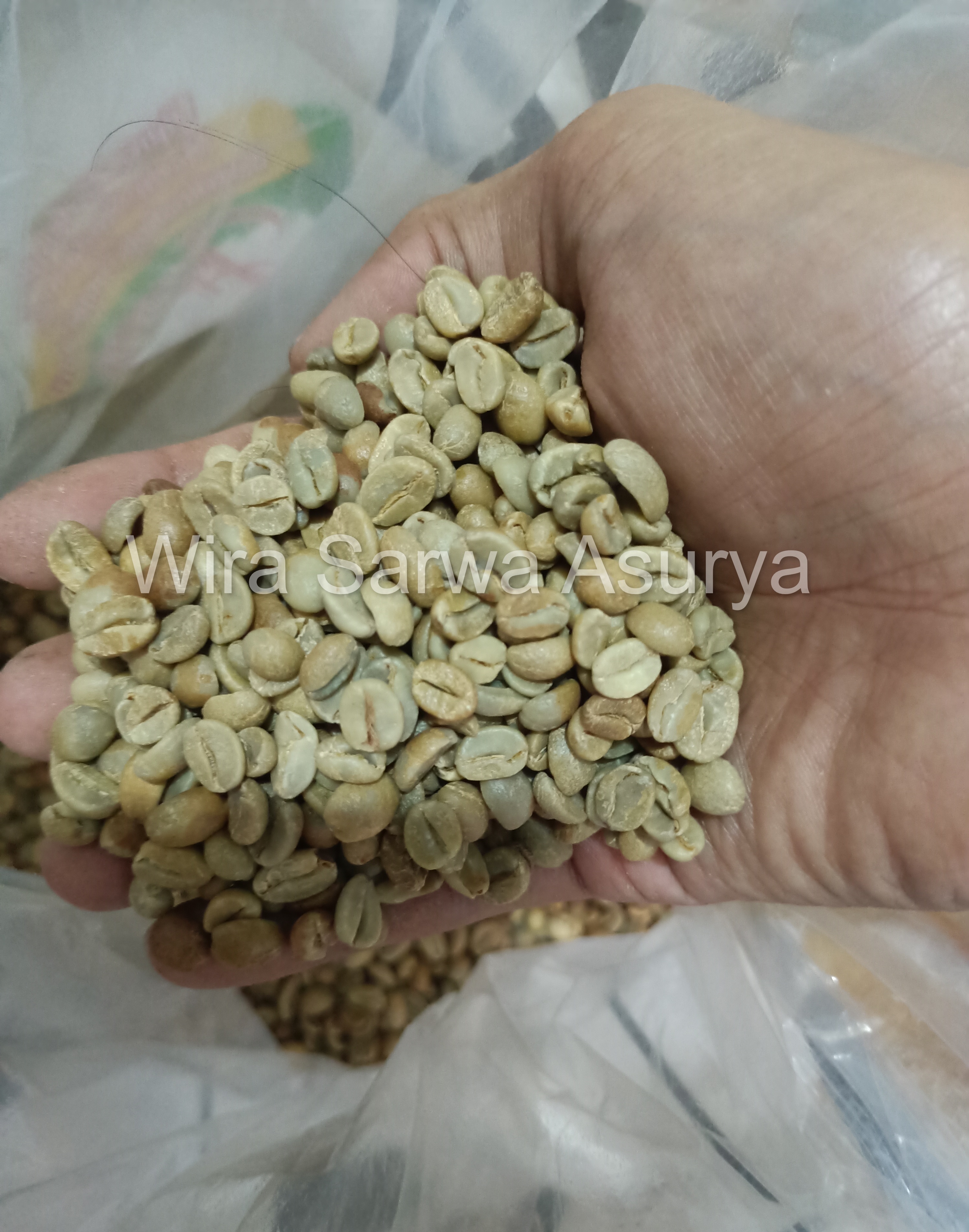 Robusta Coffee BP 309 from Temanggung, Central Java – Indonesian Origin